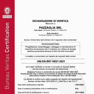Dichiarazione di verifica pluriennale